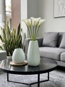 set lọ lá